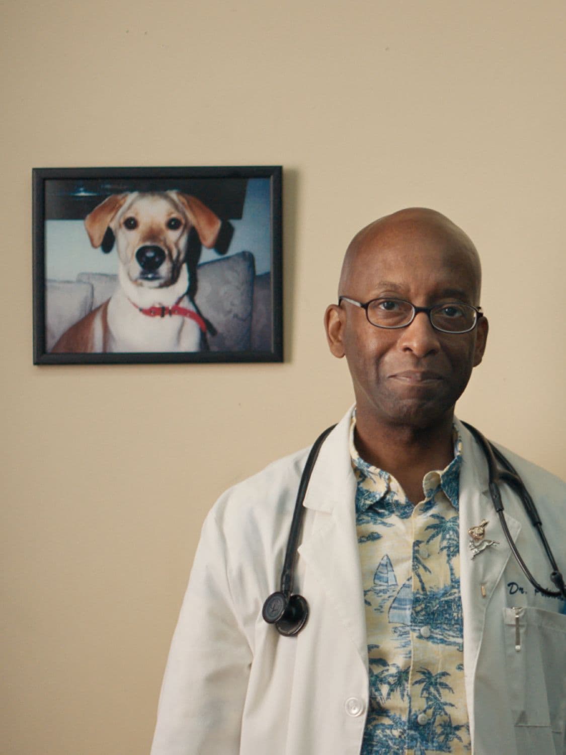 The Bunny video still