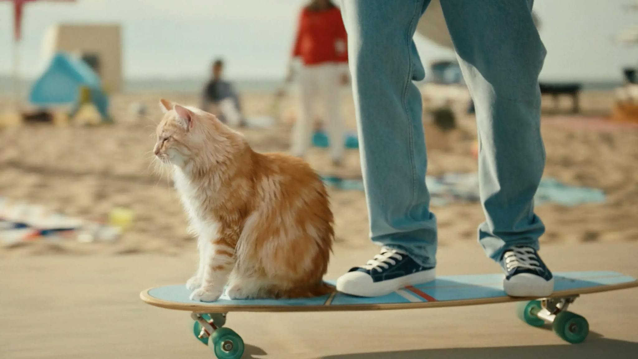 KPN - Cat on skateboard 